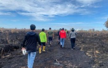 Karhutla Hanguskan 5 Hektare, Warga Bukit Batu Ditetapkan Tersangka