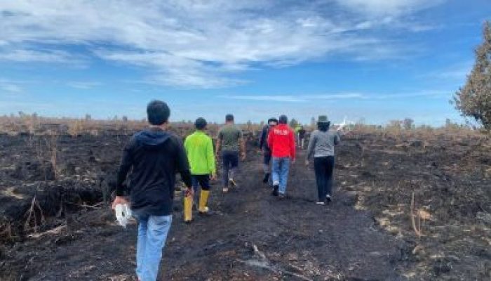 Karhutla Hanguskan 5 Hektare, Warga Bukit Batu Ditetapkan Tersangka