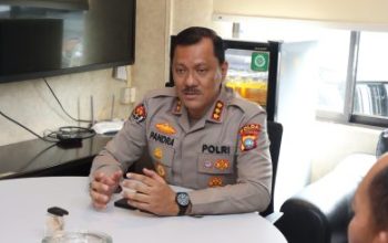 Polda Riau Periksa 40 Saksi Kasus Pembunuhan Gajah Sumatera di Pelalawan