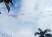 Cuaca Riau Didominasi Kabut dan Awan, Hujan Ringan Masih Berpotensi Turun