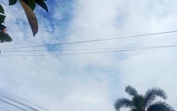 Cuaca Riau Didominasi Kabut dan Awan, Hujan Ringan Masih Berpotensi Turun