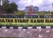 Peneliti UIN Suska Riau Kembangkan Agrivoltaik, Lahan Hasilkan Pangan dan Energi