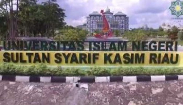 Peneliti UIN Suska Riau Kembangkan Agrivoltaik, Lahan Hasilkan Pangan dan Energi