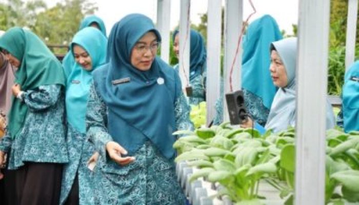 Ketua TP PKK Siak Apresiasi Panen Perdana Hidroponik KWT Benteng Lestari