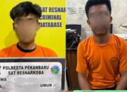 Satresnarkoba Polresta Pekanbaru Ungkap Kasus Narkoba, Dua Orang Diamankan