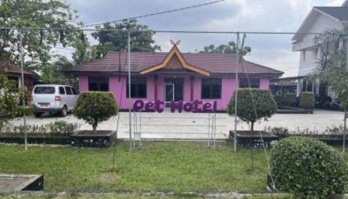 Inovasi Layanan Publik, Dinas PKH Riau Buka Pet Hotel di Jalan Hangtuah