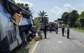 Tabrakan Maut di Lintas Timur Pelalawan, Empat Penumpang Bus Tewas