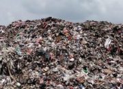 Program LPS Disorot, Aktivis Minta Wali Kota Pekanbaru Evaluasi Total