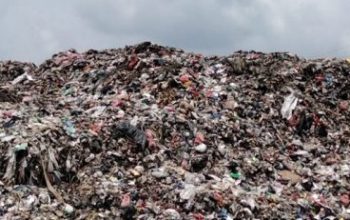 Program LPS Disorot, Aktivis Minta Wali Kota Pekanbaru Evaluasi Total