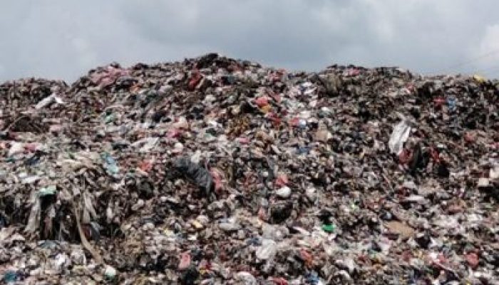 Program LPS Disorot, Aktivis Minta Wali Kota Pekanbaru Evaluasi Total