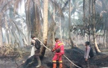 Hotspot Terdeteksi di Tempuling, Polisi dan Tim Gabungan Lakukan Pendinginan