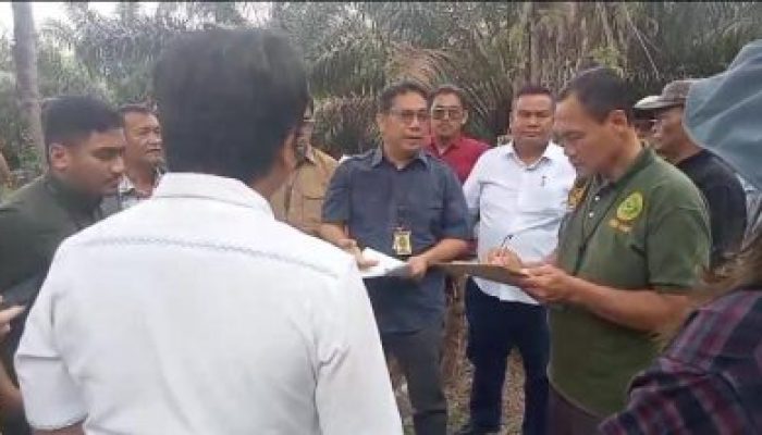 Di Hadapan Hakim PN Rantauprapat, Petani Transmigran Klaim Kuasai Lahan Sejak 1954
