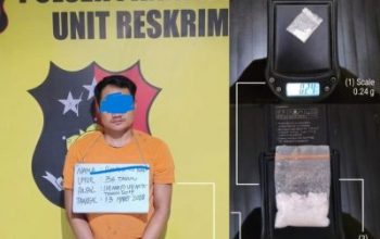 Diduga Transaksi Sabu di Kebun Sawit, Pria di Labuhanbatu Diciduk Polisi