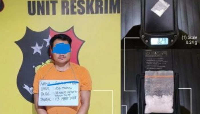 Diduga Transaksi Sabu di Kebun Sawit, Pria di Labuhanbatu Diciduk Polisi