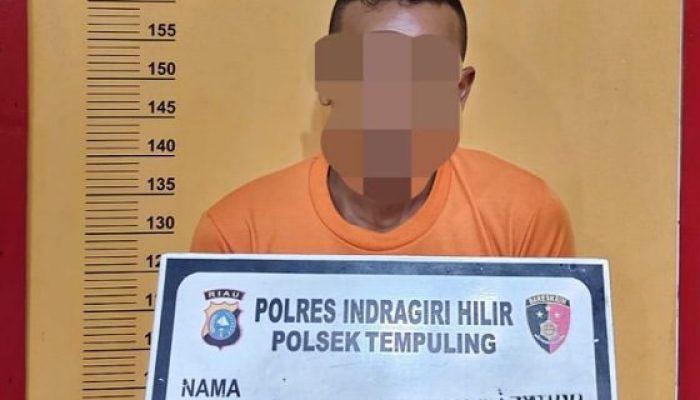 Bobol Rumah Saat Ditinggal, Pelaku Pencurian Diamankan Polisi