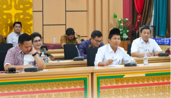 Pansus LKPJ DPRD Riau Mulai Bekerja, Fokus Analisis Program Pemda