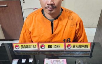 Satu Pengedar Sabu Dibekuk di Tembilahan, Polisi Amankan Barang Bukti 8,60 Gram