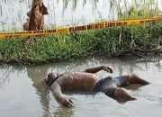 Penemuan Jenazah di Gongseng Hebohkan Warga, Polisi Sebut Tidak Ada Tanda Kekerasan