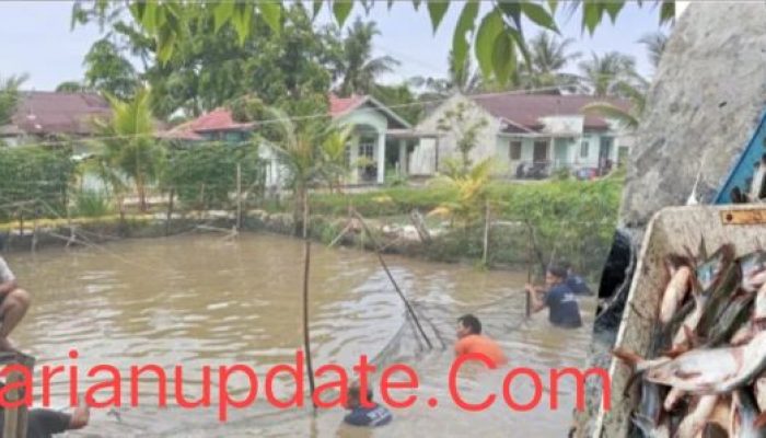 Program Kemandirian Berbuah Hasil, Lapas Bengkalis Panen Ikan Patin