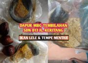 Dugaan MBG di Tembilahan Sajikan Makanan Mentah, Wali Murid Minta Evaluasi Total