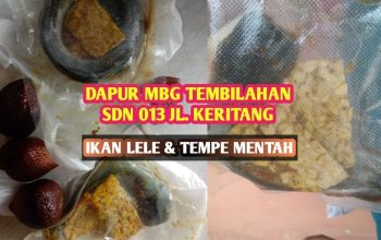 Dugaan MBG di Tembilahan Sajikan Makanan Mentah, Wali Murid Minta Evaluasi Total