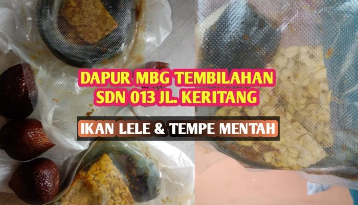Dugaan MBG di Tembilahan Sajikan Makanan Mentah, Wali Murid Minta Evaluasi Total