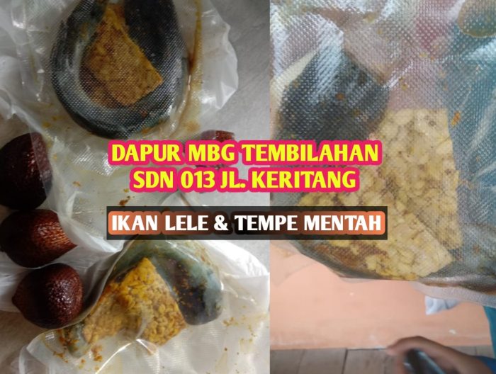 Dugaan MBG di Tembilahan Sajikan Makanan Mentah, Wali Murid Minta Evaluasi Total