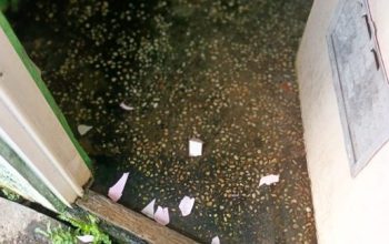 Baru Diluncurkan, Fasilitas Tirta Wisata Jombang Mulai Dikeluhkan Pengunjung