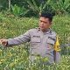 Dukung Asta Cita Presiden, Kapolsek Singingi Cek Langsung Kebun Cabai Milik Warga