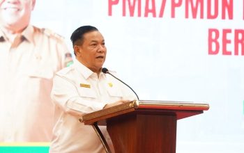 Plt Gubri Dorong Sinergi Pusat dan Daerah Demi Capai Target Investasi Riau 2026