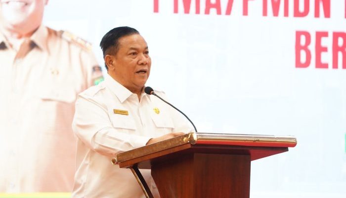 Plt Gubri Dorong Sinergi Pusat dan Daerah Demi Capai Target Investasi Riau 2026