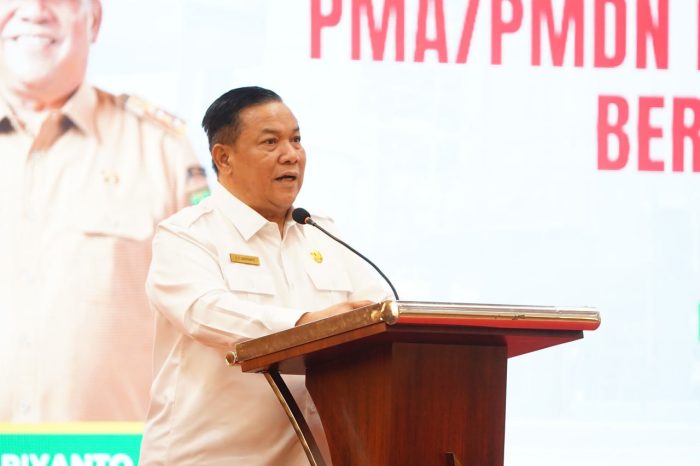 Plt Gubri Dorong Sinergi Pusat dan Daerah Demi Capai Target Investasi Riau 2026
