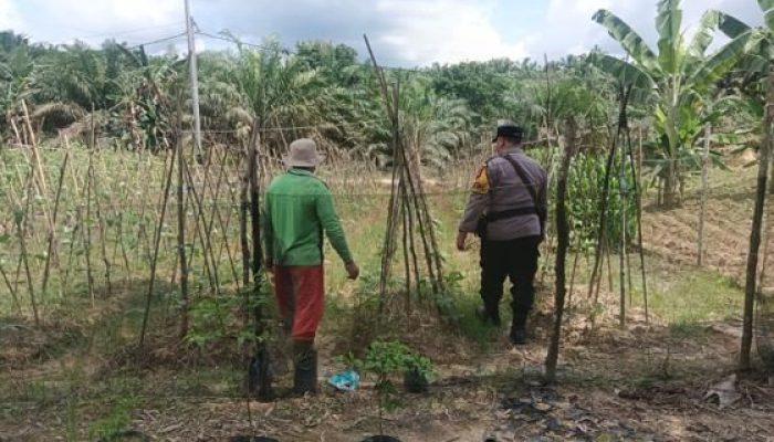 Dukung Program Presiden, Polsek Kemuning Aktif Dampingi Petani di Inhil