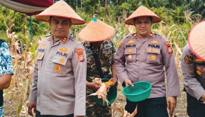Kapolres Inhil Hadiri Panen Raya Jagung Serentak, Dukung Swasembada Pangan Nasional