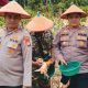 Kapolres Inhil Hadiri Panen Raya Jagung Serentak, Dukung Swasembada Pangan Nasional