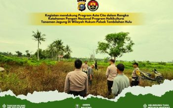 Dukung Ketahanan Pangan, Polisi dan Babinsa Monitoring Lahan Jagung Warga