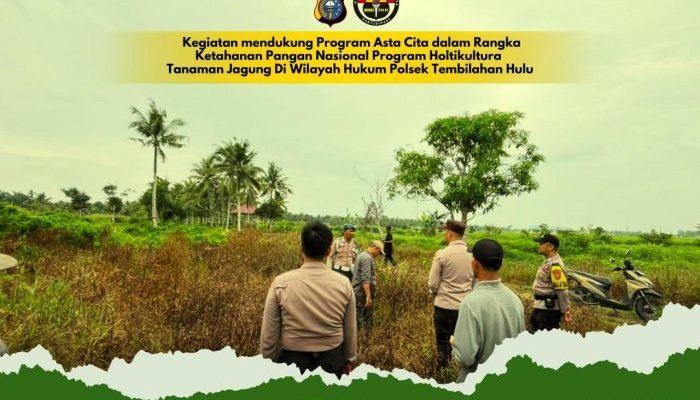 Dukung Ketahanan Pangan, Polisi dan Babinsa Monitoring Lahan Jagung Warga