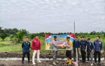 Sinergi Polri dan Kelompok Tani di Tempuling, Lahan 1 Hektar Ditanami Jagung