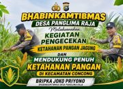 Dukung Asta Cita Presiden, Bhabinkamtibmas Concong Pantau Tanaman Jagung Warga