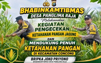 Dukung Asta Cita Presiden, Bhabinkamtibmas Concong Pantau Tanaman Jagung Warga