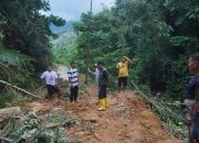 Pemkab Dharmasraya Gerak Cepat Tangani Longsor di Sembilan Koto, Jalan dan Listrik Pulih