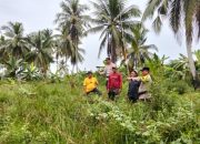Polsek Tembilahan Hulu Dampingi Petani Siapkan Lahan Hortikultura Jagung