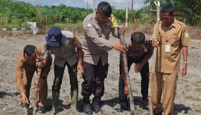 Dukung Asta Cita Presiden, Desa Koto Sentajo Tanam Jagung Pipil di Lahan Ketahanan Pangan