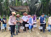 Desa Bukit Raya Tanam Jagung Pipil untuk Dukung Program ASTA CITA Presiden