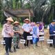 Desa Bukit Raya Tanam Jagung Pipil untuk Dukung Program ASTA CITA Presiden