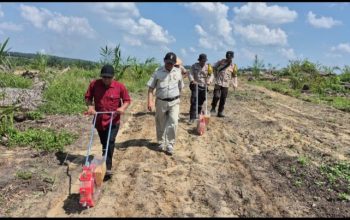 Polri Dampingi Perluasan Jagung Tumpang Sari di PT Adimulia Agrolestari