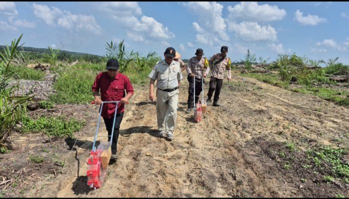 Polri Dampingi Perluasan Jagung Tumpang Sari di PT Adimulia Agrolestari