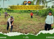 Persiapan Penanaman Jagung Kuartal II di Pulau Palas Mulai Dimatangkan