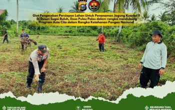 Persiapan Penanaman Jagung Kuartal II di Pulau Palas Mulai Dimatangkan