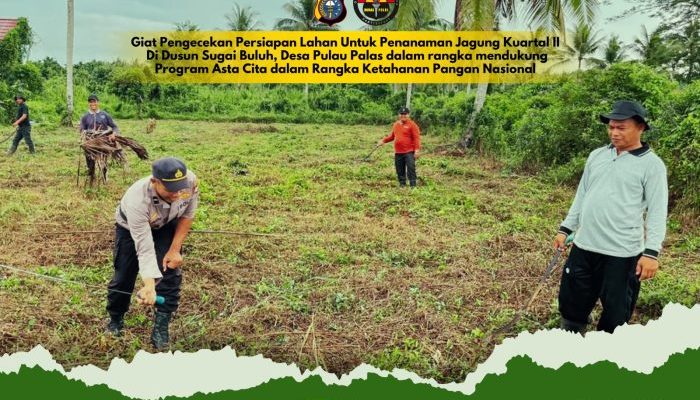 Persiapan Penanaman Jagung Kuartal II di Pulau Palas Mulai Dimatangkan